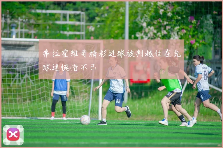 弗拉霍维奇精彩进球被判越位在先球迷惋惜不已